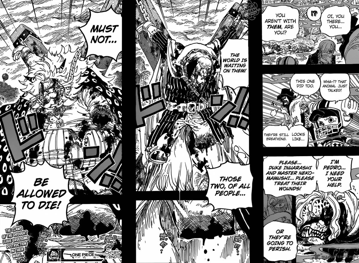One Piece Chapter 810 - Manhwa18.com