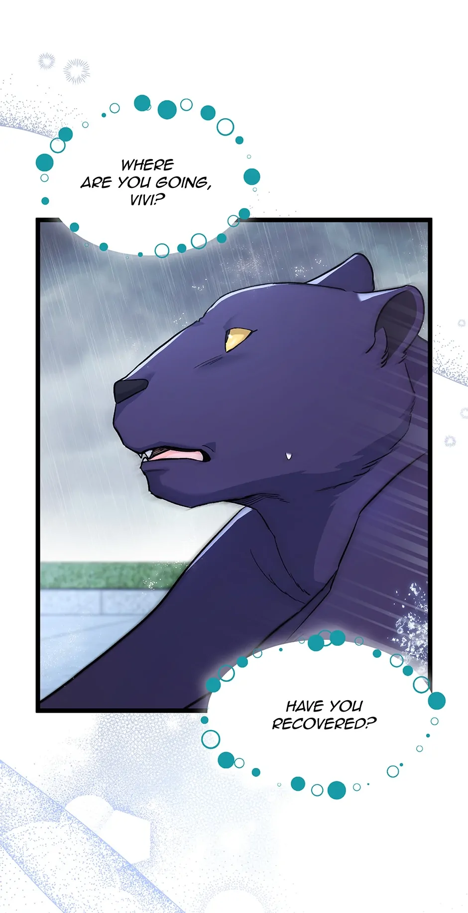 The Symbiotic Relationship Between A Rabbit and A Black Panther Chapter 121 - Manhwa18.com