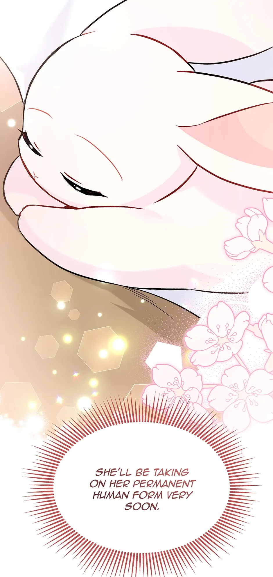 The Symbiotic Relationship Between A Rabbit and A Black Panther Chapter 122 - Manhwa18.com
