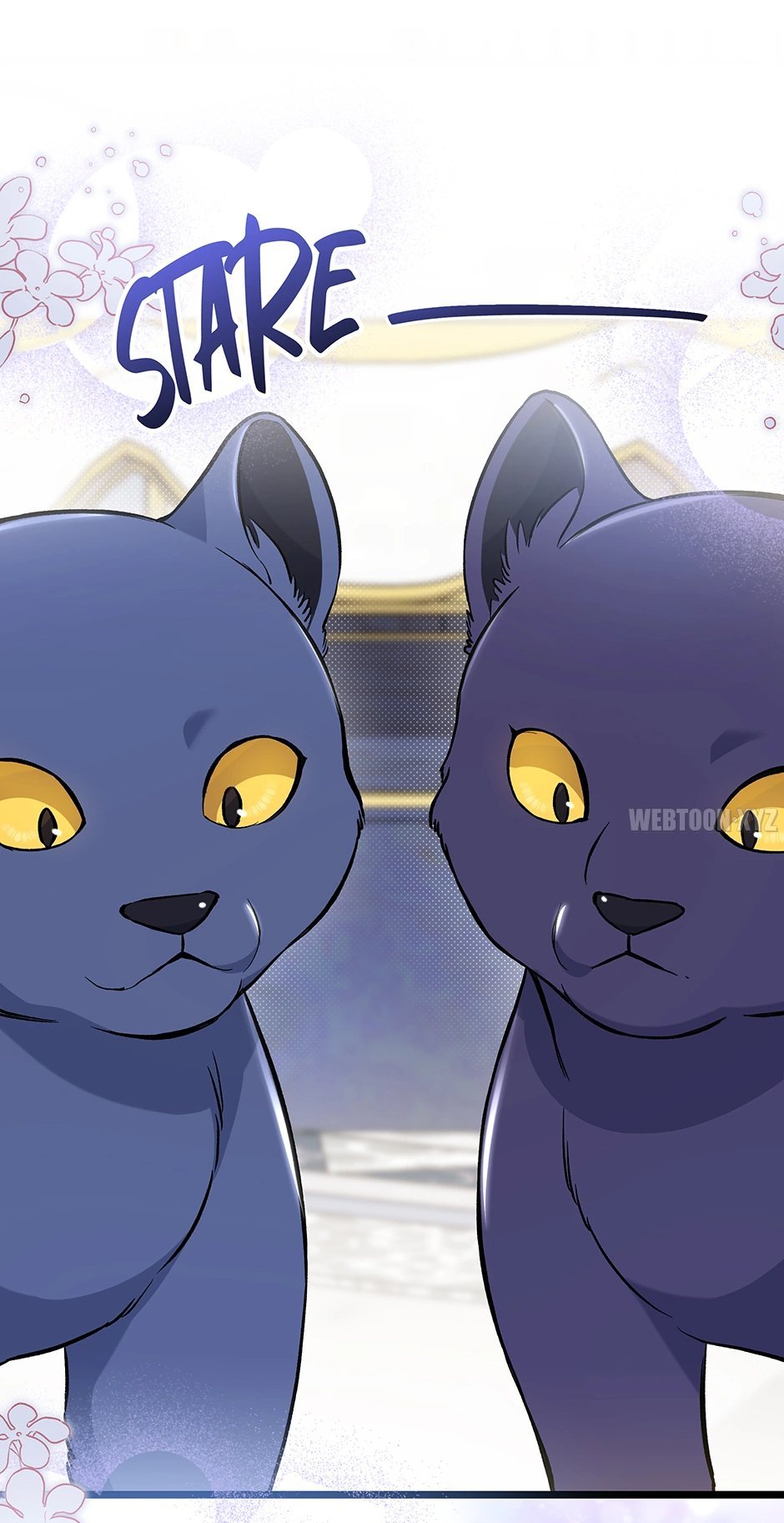 The Symbiotic Relationship Between A Rabbit and A Black Panther Chapter 134 - Manhwa18.com