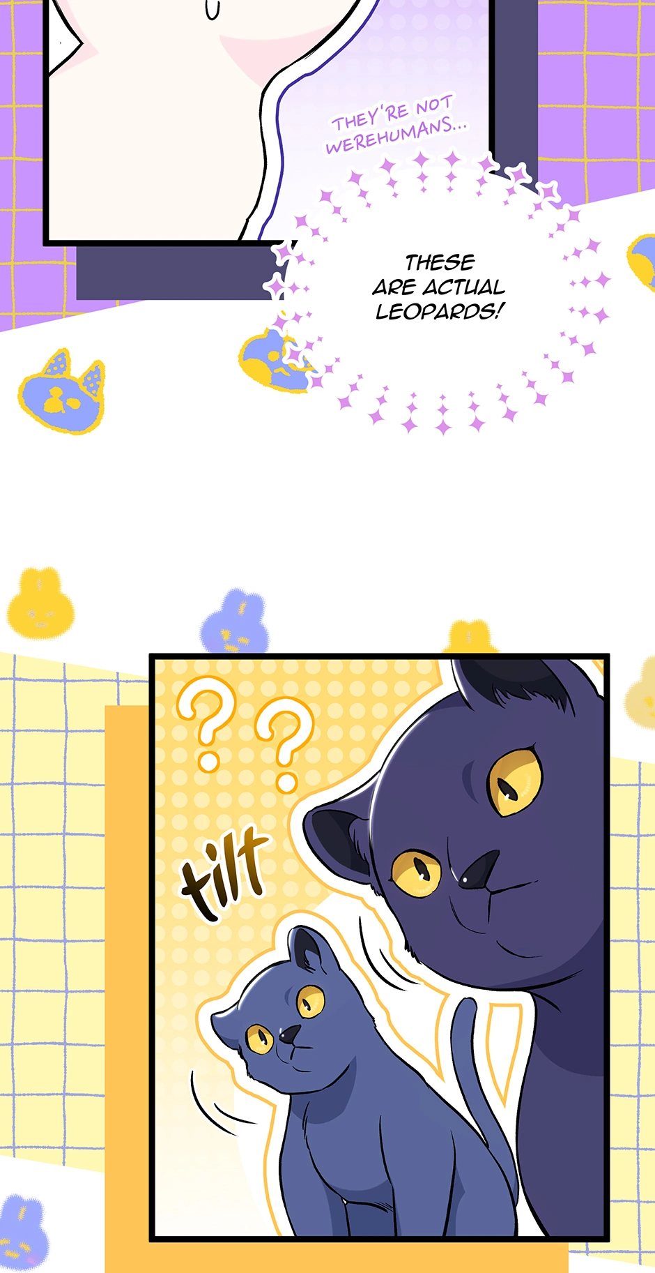 The Symbiotic Relationship Between A Rabbit and A Black Panther Chapter 134 - Manhwa18.com