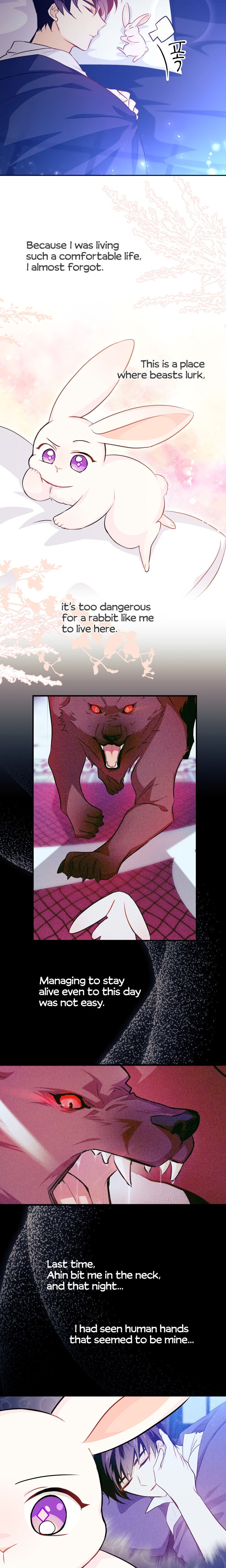 The Symbiotic Relationship Between A Rabbit and A Black Panther Chapter 16 - Manhwa18.com