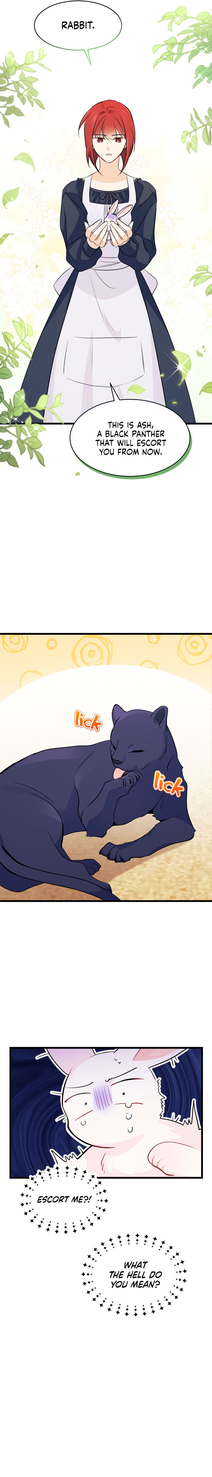 The Symbiotic Relationship Between A Rabbit and A Black Panther Chapter 23 - Manhwa18.com