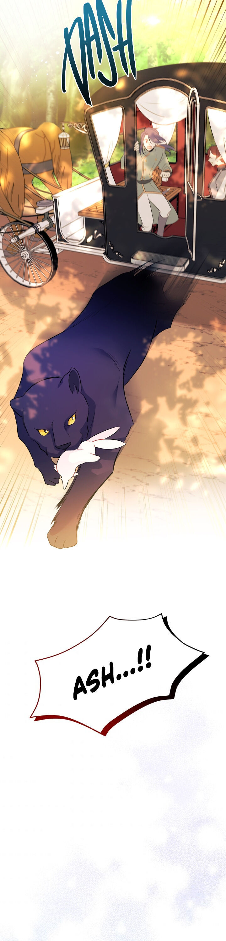 The Symbiotic Relationship Between A Rabbit and A Black Panther Chapter 29 - Manhwa18.com