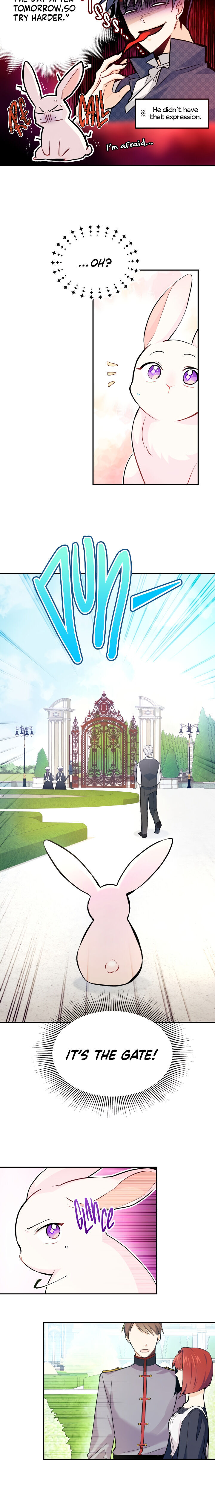 The Symbiotic Relationship Between A Rabbit and A Black Panther Chapter 3 - Manhwa18.com