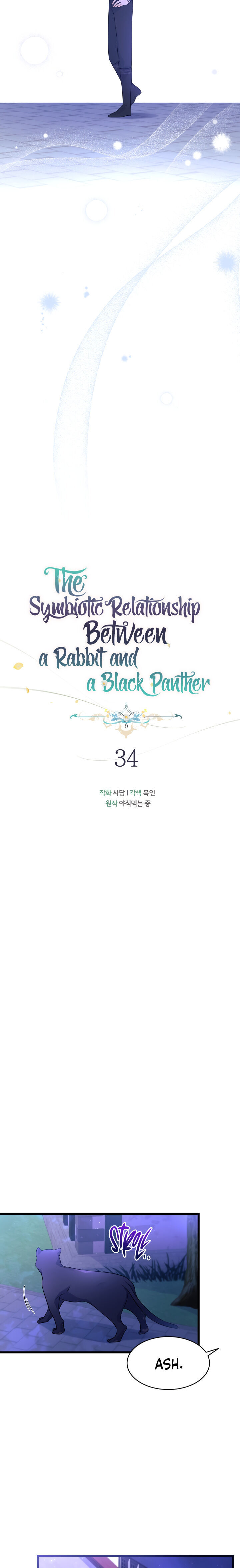 The Symbiotic Relationship Between A Rabbit and A Black Panther Chapter 34 - Manhwa18.com