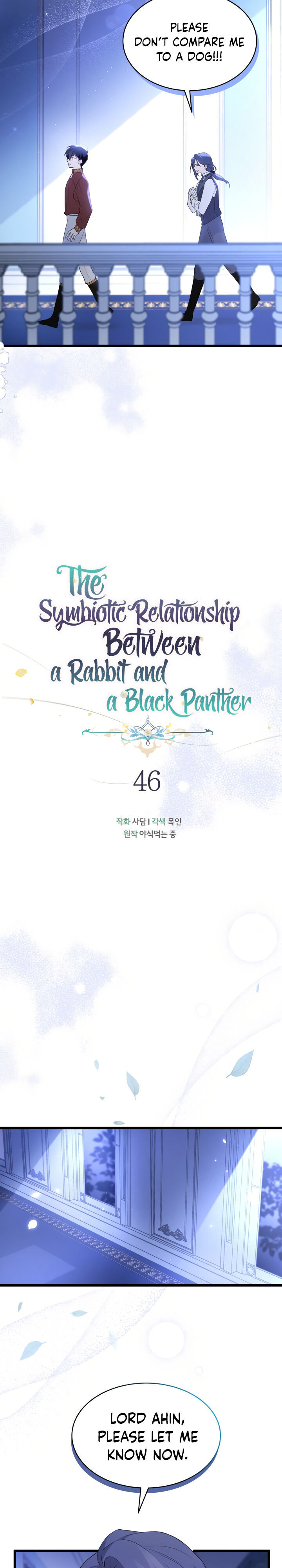 The Symbiotic Relationship Between A Rabbit and A Black Panther Chapter 46 - Manhwa18.com