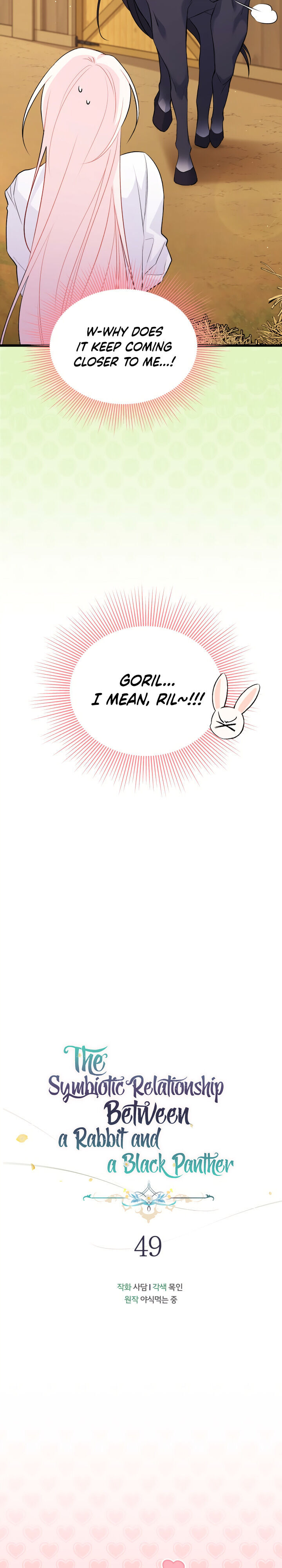 The Symbiotic Relationship Between A Rabbit and A Black Panther Chapter 49 - Manhwa18.com