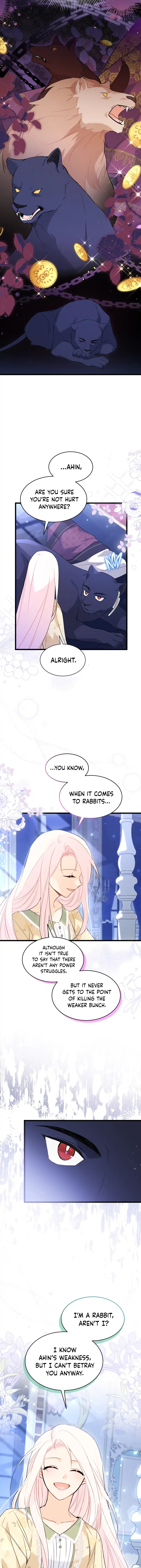 The Symbiotic Relationship Between A Rabbit and A Black Panther Chapter 54 - Manhwa18.com