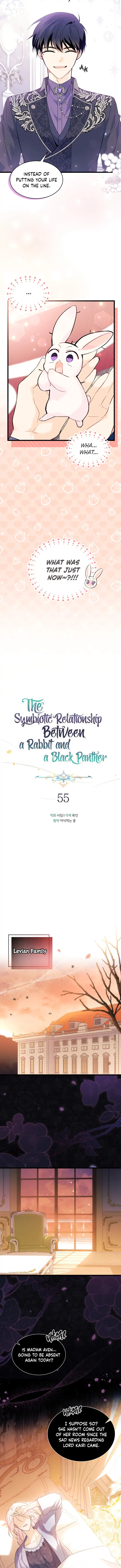 The Symbiotic Relationship Between A Rabbit and A Black Panther Chapter 55 - Manhwa18.com