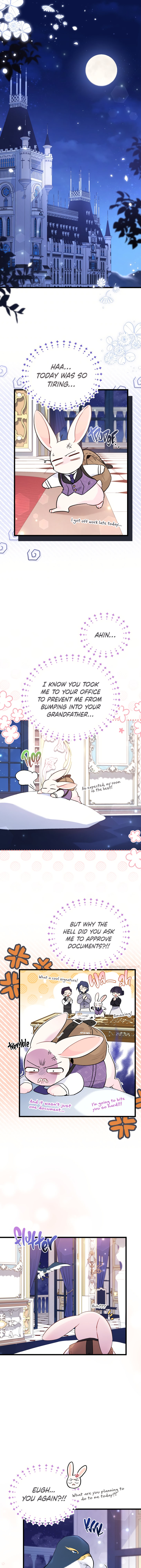 The Symbiotic Relationship Between A Rabbit and A Black Panther Chapter 57 - Manhwa18.com
