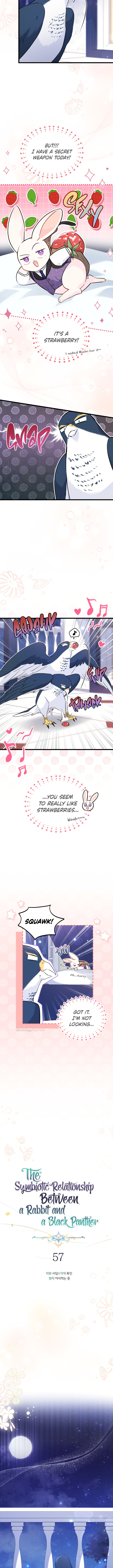 The Symbiotic Relationship Between A Rabbit and A Black Panther Chapter 57 - Manhwa18.com