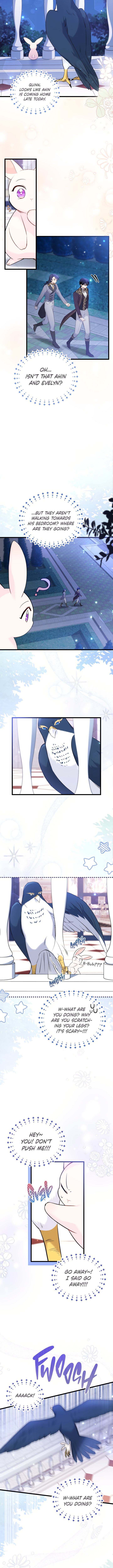 The Symbiotic Relationship Between A Rabbit and A Black Panther Chapter 57 - Manhwa18.com