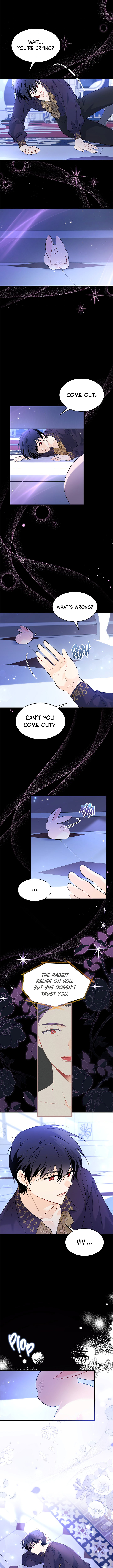 The Symbiotic Relationship Between A Rabbit and A Black Panther Chapter 58 - Manhwa18.com