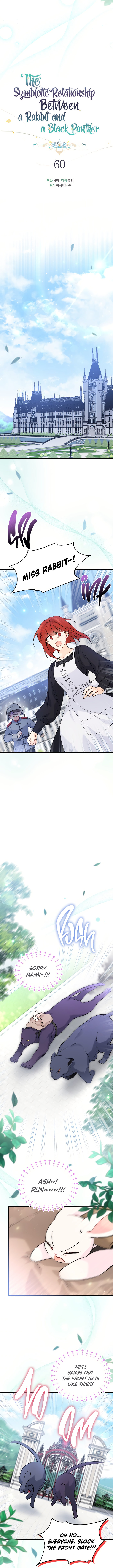The Symbiotic Relationship Between A Rabbit and A Black Panther Chapter 60 - Manhwa18.com