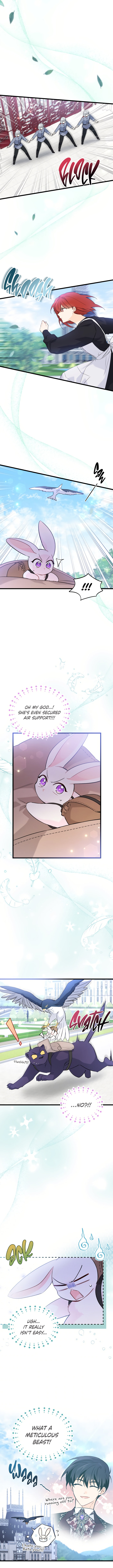 The Symbiotic Relationship Between A Rabbit and A Black Panther Chapter 60 - Manhwa18.com