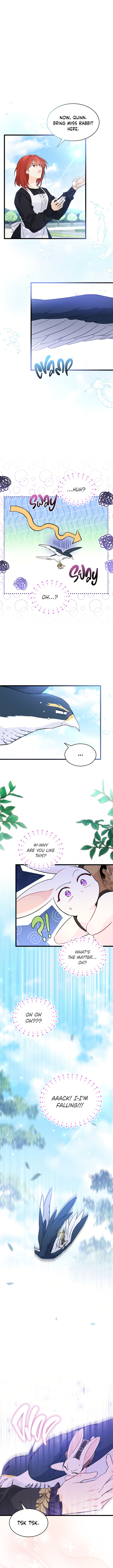 The Symbiotic Relationship Between A Rabbit and A Black Panther Chapter 60 - Manhwa18.com