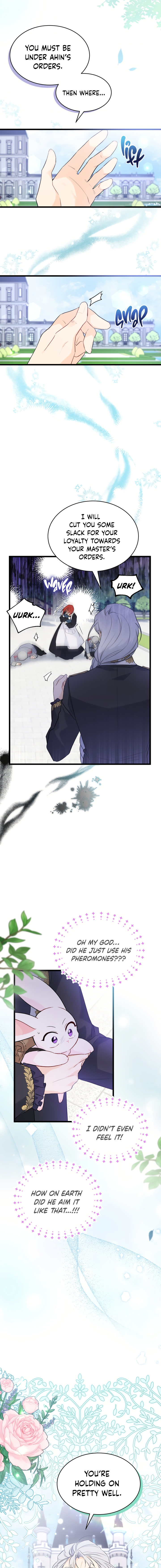 The Symbiotic Relationship Between A Rabbit and A Black Panther Chapter 60 - Manhwa18.com
