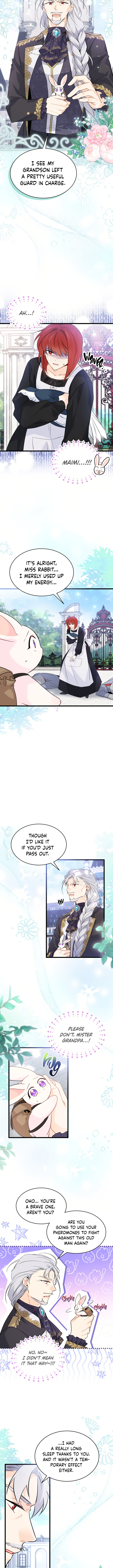 The Symbiotic Relationship Between A Rabbit and A Black Panther Chapter 60 - Manhwa18.com