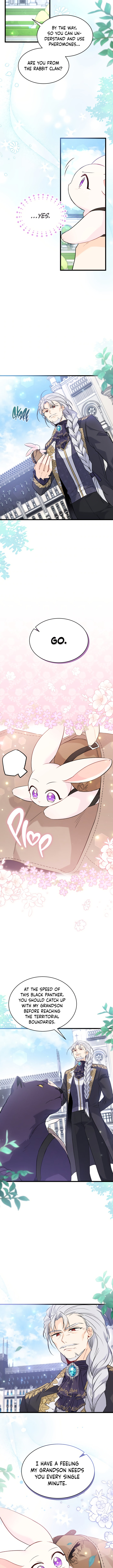 The Symbiotic Relationship Between A Rabbit and A Black Panther Chapter 60 - Manhwa18.com
