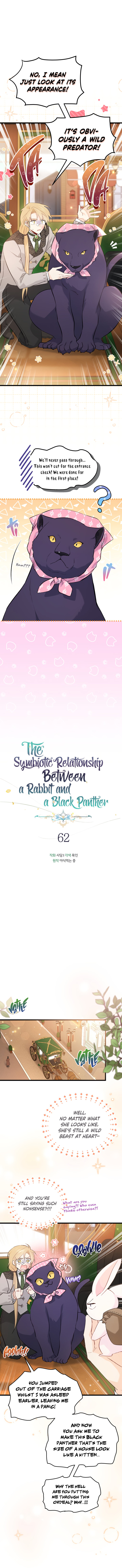 The Symbiotic Relationship Between A Rabbit and A Black Panther Chapter 62 - Manhwa18.com