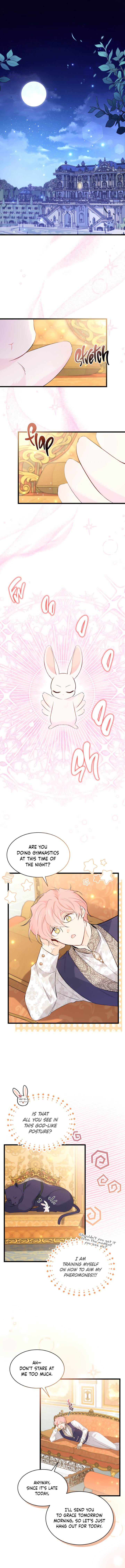 The Symbiotic Relationship Between A Rabbit and A Black Panther Chapter 63 - Manhwa18.com