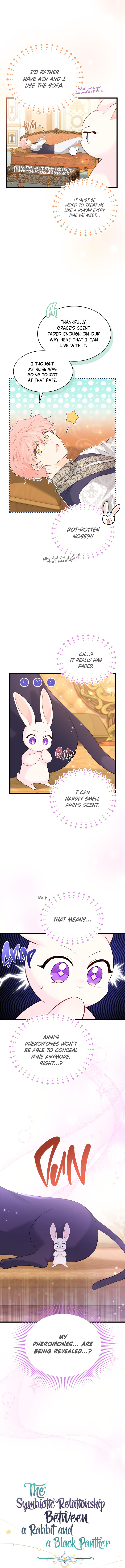 The Symbiotic Relationship Between A Rabbit and A Black Panther Chapter 63 - Manhwa18.com