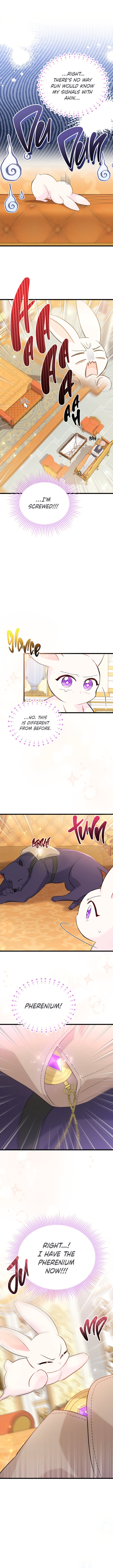 The Symbiotic Relationship Between A Rabbit and A Black Panther Chapter 63 - Manhwa18.com