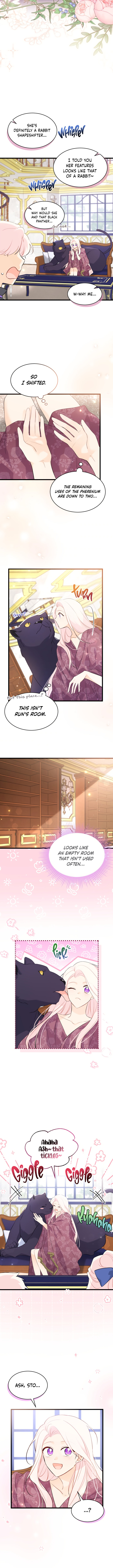 The Symbiotic Relationship Between A Rabbit and A Black Panther Chapter 63 - Manhwa18.com