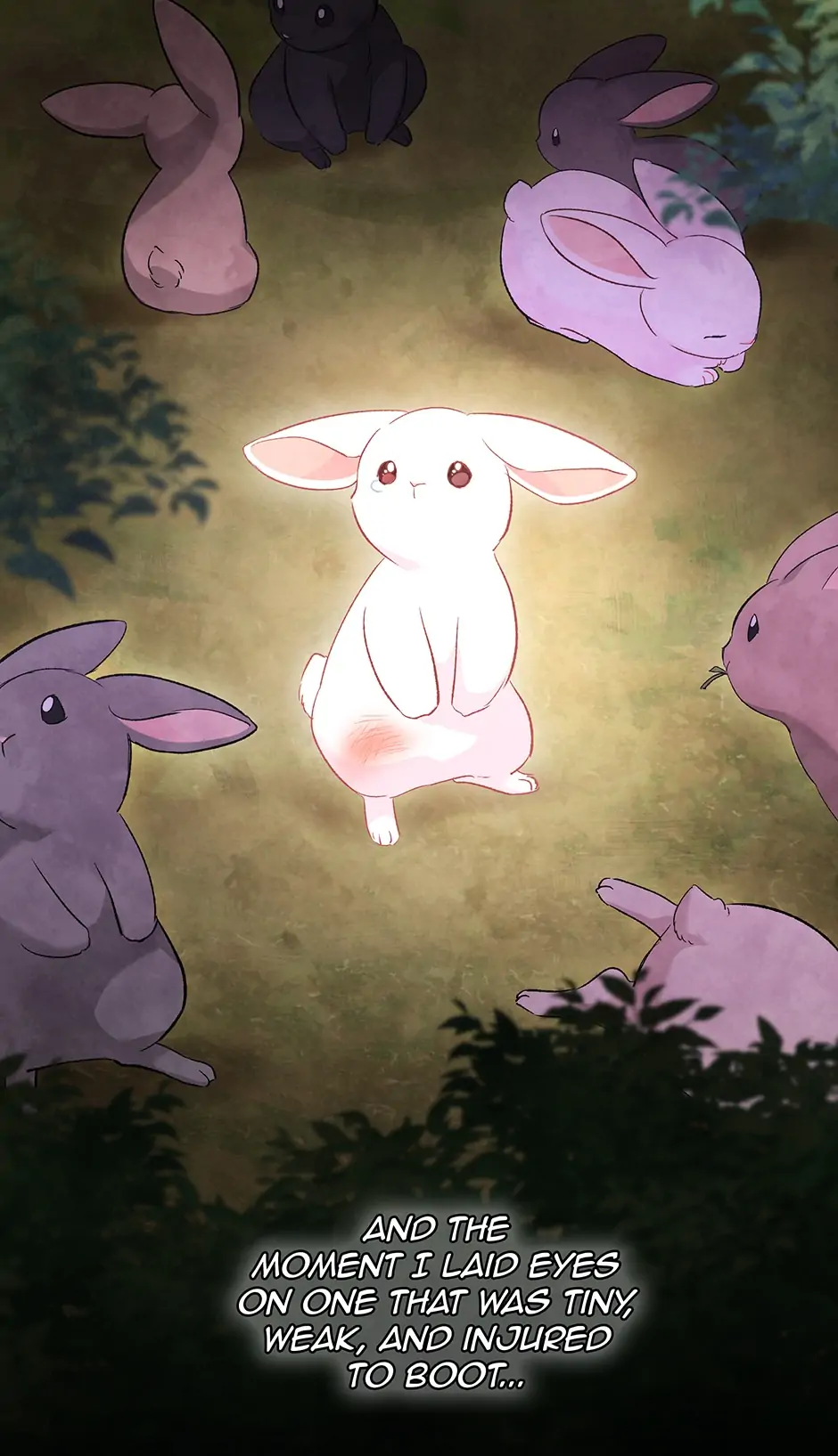 The Symbiotic Relationship Between A Rabbit and A Black Panther Chapter 82 - Manhwa18.com