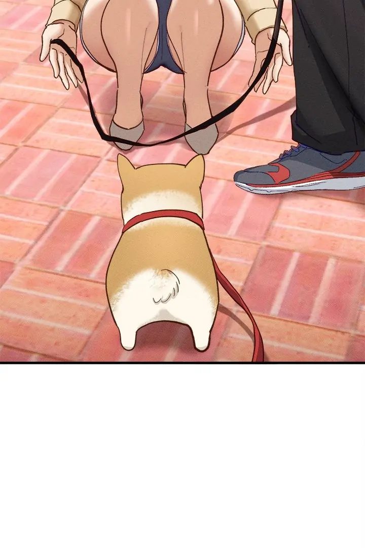 I Became a Dog! Chapter 10 - Manhwa18.com