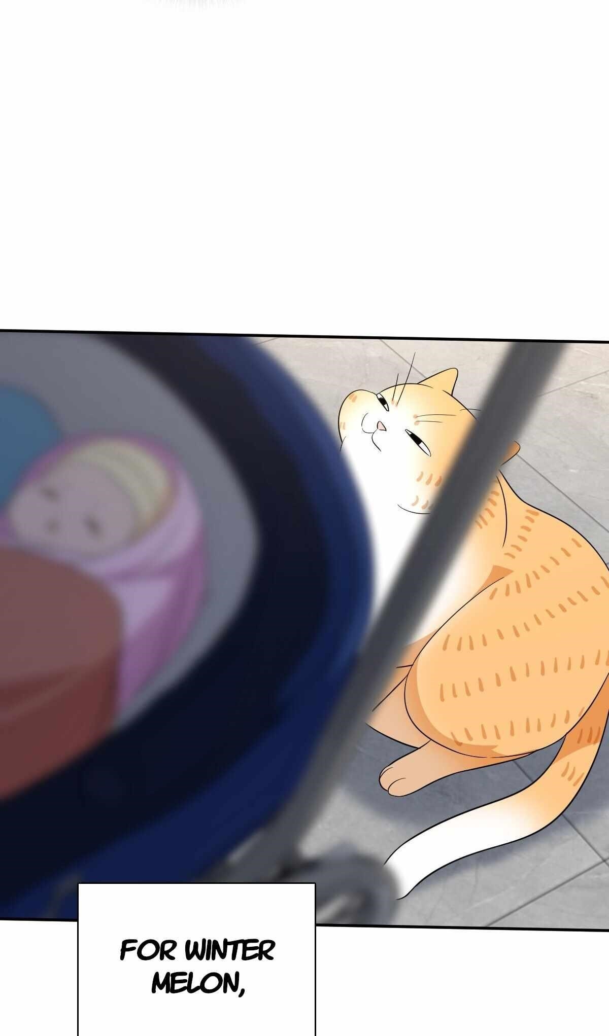 My Wife is From a Thousand Years Ago Chapter 342 - Manhwa18.com