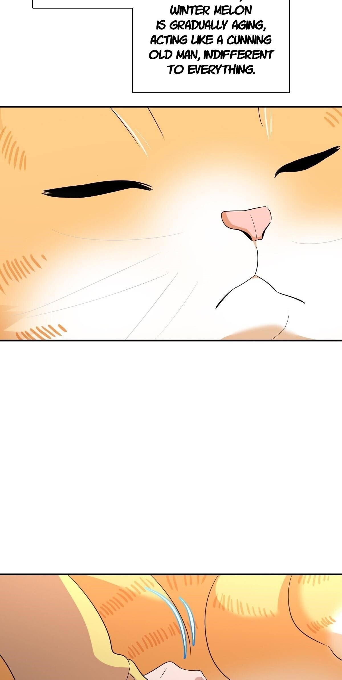 My Wife is From a Thousand Years Ago Chapter 355 - Manhwa18.com