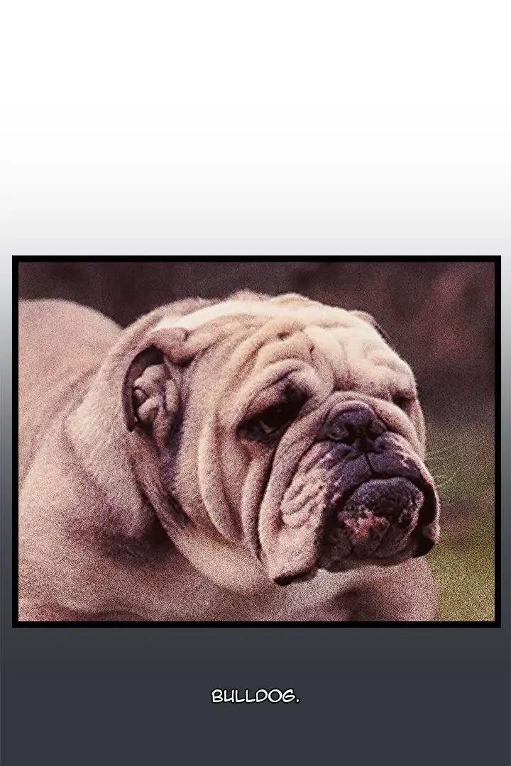From Weakling to Nemesis Chapter 7 - Manhwa18.com